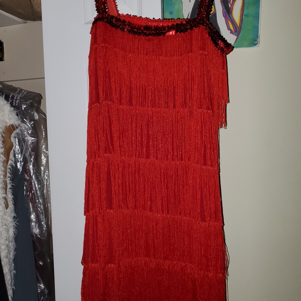 Cute 20's flapper costume dress